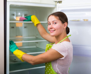 Young smiling woman in apron and in rubber gloves dusting and polishing fridge parts