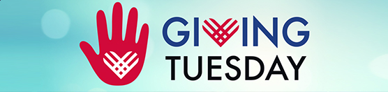 Top 10 Queer Non-Profits for Giving Tuesday!